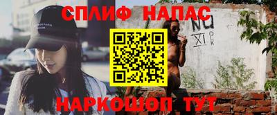 стаф Можга