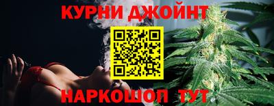 стаф Можга