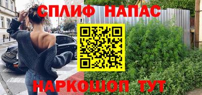 стаф Можга