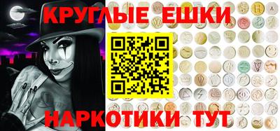 стаф Можга