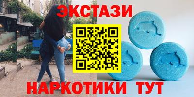 стаф Можга