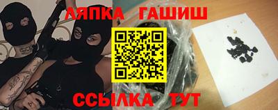 стаф Можга